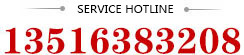 Service hotline:13516383208